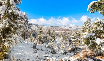 255 Little Pinon, Basalt, CO 81621