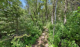 2477 168th Ln NW, Andover, MN 55304