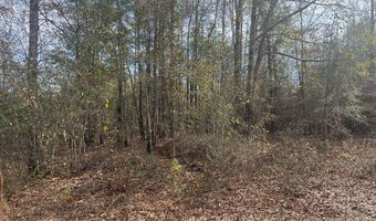 County Road 99, Abbeville, AL 36310