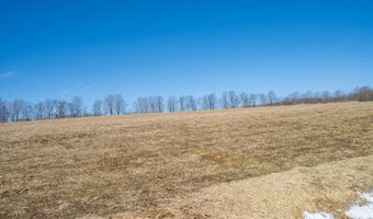 7985 ROCK LODGE Rd, Accident, MD 21520