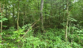 Shady Lane, Big Sandy, TN 38221