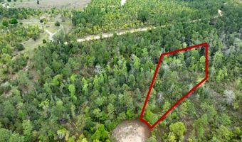 CASTLE CIRCLE, Alford, FL 32420