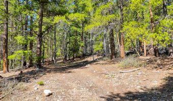 715 Lewsader Rd Lot 0, Alma, CO 80420