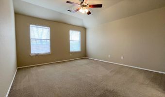 233 Niagara Falls Dr, Anna, TX 75409