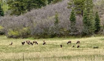 15098 CR 240, Bayfield, CO 81122