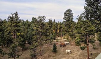 64 Elk Horn Ct, Bailey, CO 80421
