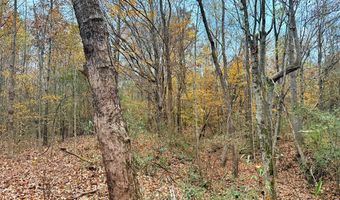 HWY 9, Bruce, MS 38915