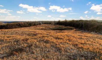 208 Cabin Rd, Ava, MO 65608