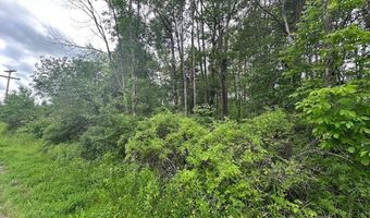 Townline Road, Angelica, NY 14709