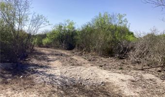 1701 CR 170, Alice, TX 78332