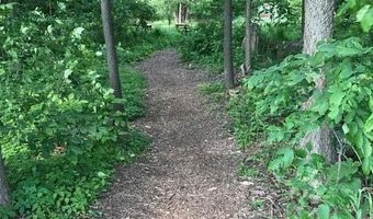 974 Dogwood Meadows Dr SE, Ada, MI 49301