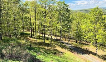 115 Witts Ln, Ancramdale, NY 12503