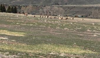 38 Stillwater Dr, Cody, WY 82414