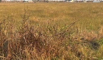 40 Acres County Road 45, Angleton, TX 77515