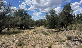 109 Of Twin Fawn Ln, Ash Fork, AZ 86320
