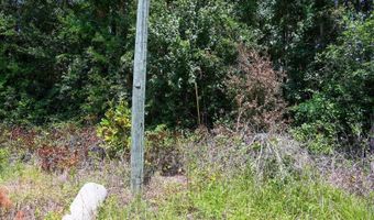 Rooks Road, Atkinson, NC 28421