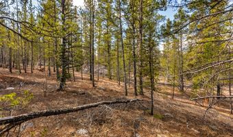 265 Placer Dr Lot 10, Alma, CO 80420