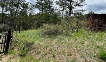 TBD-2 Vine Mesa Ave, Beulah, CO 81023