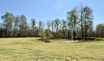 378 County Road 1219, Arlington, KY 42021