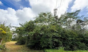 15-2038 16th Ave, Keaau, HI 96749