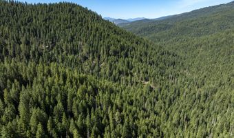 Hungry Ridge, Ashland, OR 97520