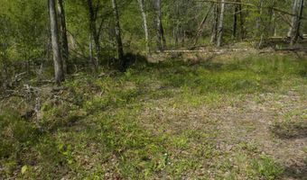 Steve Brown Road, Bean Station, TN 37708