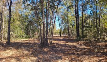 Tommy Tucker Road lot 3, Altha, FL 32421