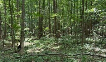 410 N Sharp Mountain Church Ln, Ball Ground, GA 30107
