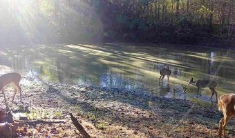 179 Little River 67 Rd, Ashdown, AR 71822