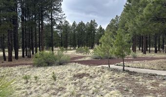 0 FOREST ROAD 193 St, Flagstaff, AZ 86001