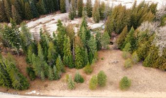 NNA Lightning Creek Rd, Clark Fork, ID 83811