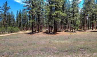 1120 Hole In The Wall Rd, Bonner, MT 59823