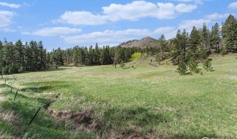 5959 Stove Prairie Rd, Bellvue, CO 80512