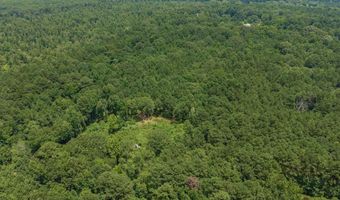 204 Silver Leaf Dr, Benton, LA 71006
