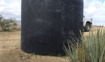 9240 S Longhorn Dr, Chloride, AZ 86431