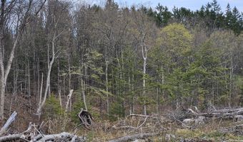 295 Shellstone Rd, Amsterdam, NY 12010