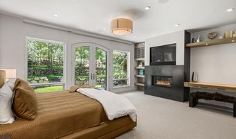 971 Ute Ave, Aspen, CO 81611