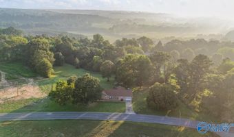2097 Needmore Rd, Albertville, AL 35950