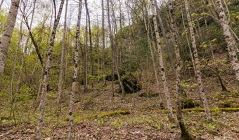 Tbd9999 Wentworth School Road, Beattyville, KY 41311