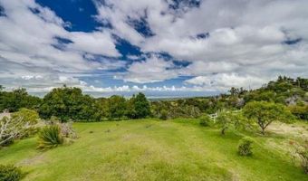 25 Hoihoi Pl B, Kula, HI 96790