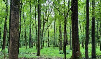 52 Penny Creek Rd, Abbeville, SC 29620