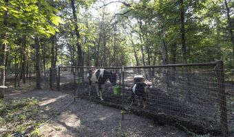 3191 State Hwy Dd Pvt Dr B Tract 5, Ava, MO 65608
