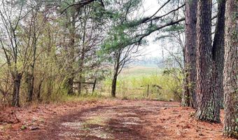 404 Evans Rd, Ash Flat, AR 72513