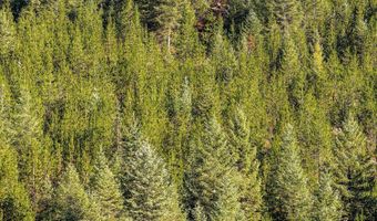 NNA N Moyie River Rd, Bonners Ferry, ID 83805