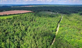 Cypress Point Lane lot 6, Beech Island, SC 29842