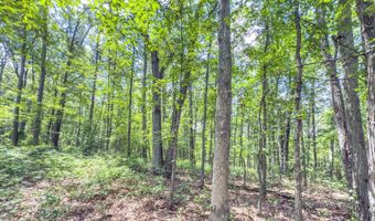 1393 Woodland Mountain Trl, Augusta, WV 26704