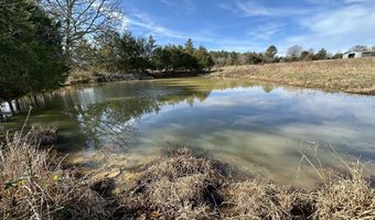 1522 County Road 404, Alton, MO 65606