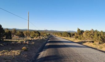 690 CR 8235 Dr, Concho, AZ 85924