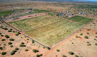 18 N5162, Concho, AZ 85924