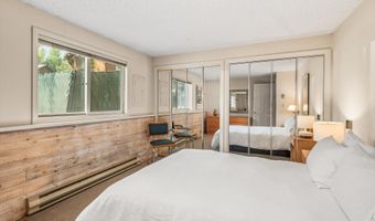 1275 Snowbunny Ln 2, Aspen, CO 81611